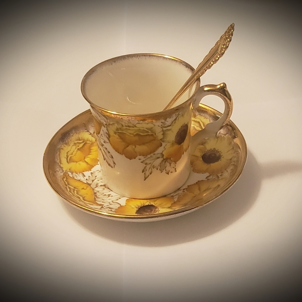 Vintage Salisbury Iceland Poppy Tea Cup & Saucer Fine Bone China Made in England